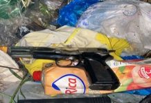 Recuperan en un basurero dos pistolas robadas hace más de tres años