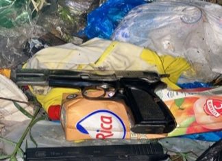 Recuperan en un basurero dos pistolas robadas hace más de tres años