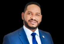 CONDENA POR LITIGACIÓN TEMERARIA COMO GARANTÍA DEL PLAZO RAZONABLE