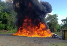 El Inacif quema más de mil kilogramos de distintas drogas