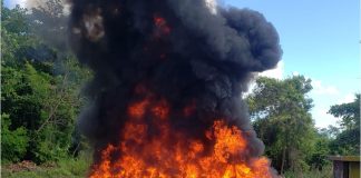 El Inacif quema más de mil kilogramos de distintas drogas