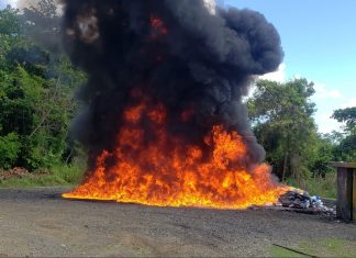 El Inacif quema más de mil kilogramos de distintas drogas