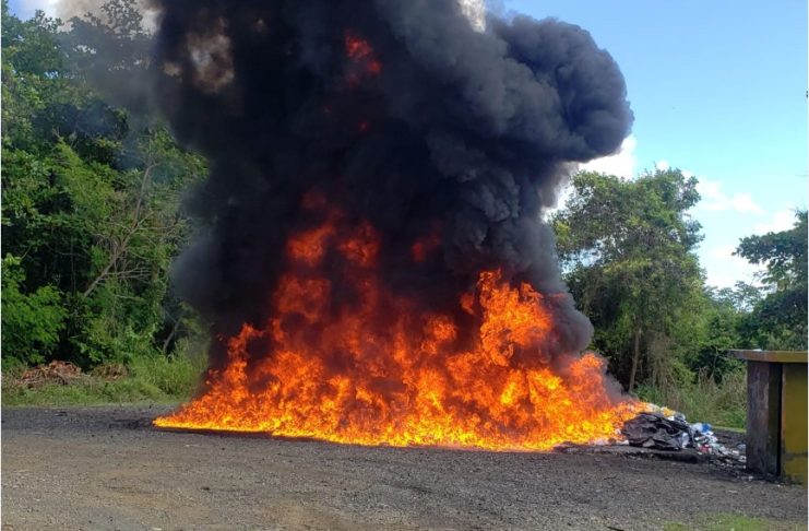 El Inacif quema más de mil kilogramos de distintas drogas
