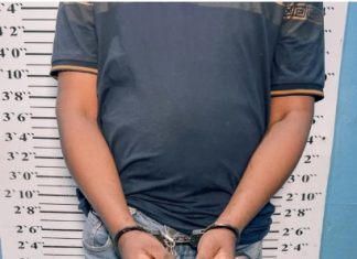 Extraditan a Puerto Rico a dominicano acusado de asesinato y delitos con armas