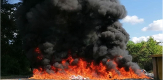 Combate al narcotráfico: Inacif destruye más de 1.1 toneladas de sustancias controladas incautadas en operativos nacionales