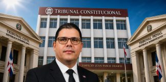 TRIBUNAL CONSTITUCIONAL EXCLUYE A LOS TRIBUNALES PENALES DEL CONOCIMIENTO DE ACCIONES DE HÁBEAS DATA